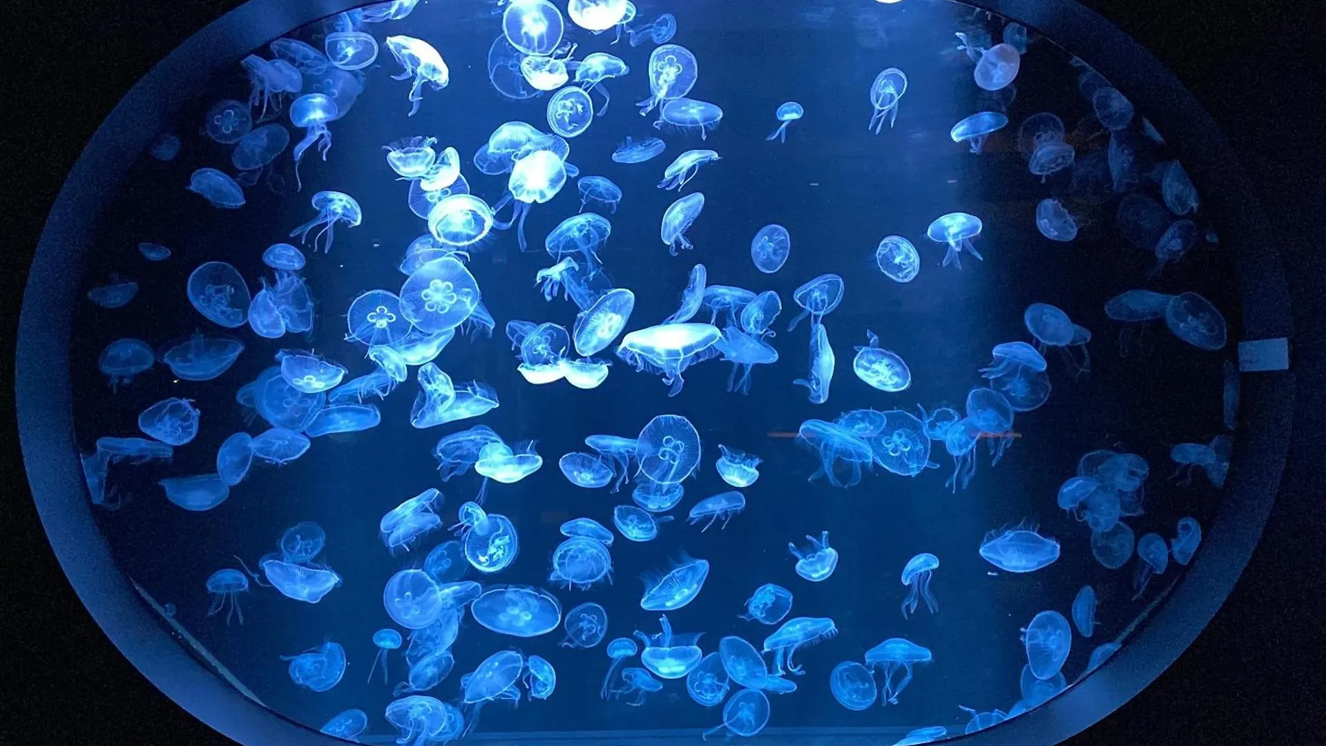 メルキュールホテル札幌 ホテル